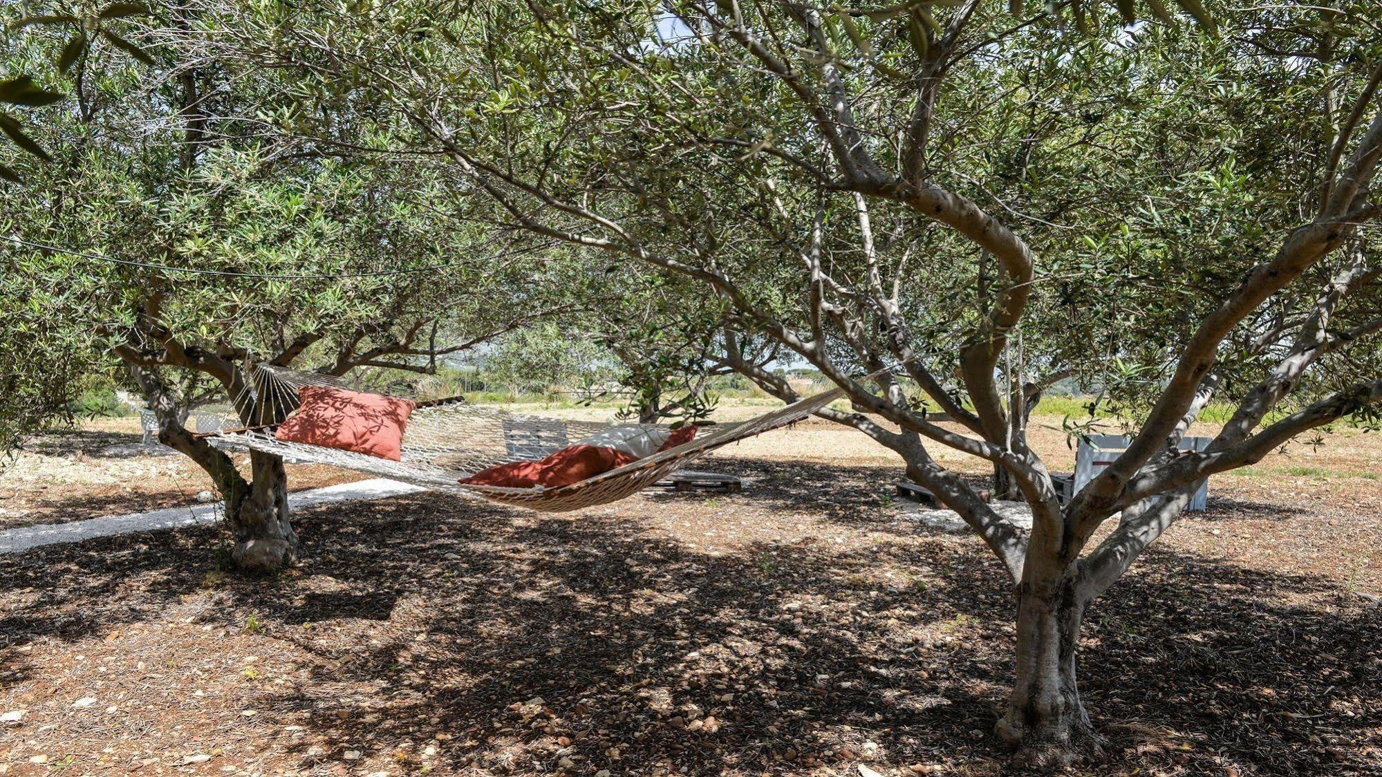 Appartamenti Lu Baruni Castellammare del Golfo Εξωτερικό φωτογραφία